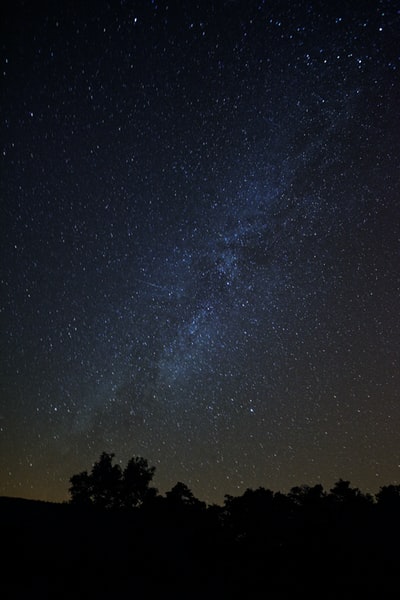 星空下的树影